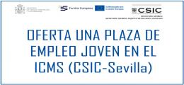 OFERTA DE UNA PLAZA DE EMPLEO JOVEN EN EL ICMS (CSIC-Sevilla)